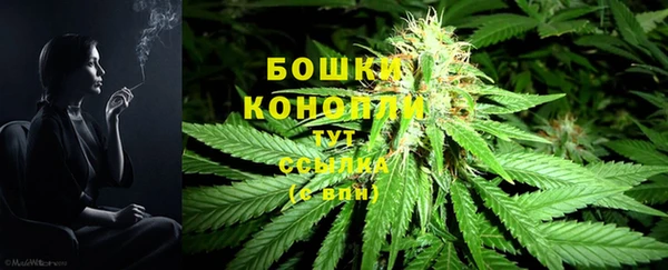 дистиллят марихуана Магас