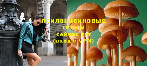 ешки Майский