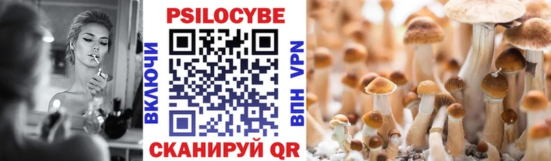 Галлюциногенные грибы прущие грибы  Купить закладки  Бронницы 